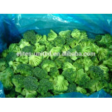 IQF Broccoli/Frozen Broccoli Manufacturer From China